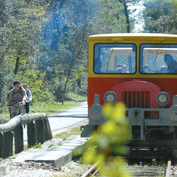 petit train Soulac