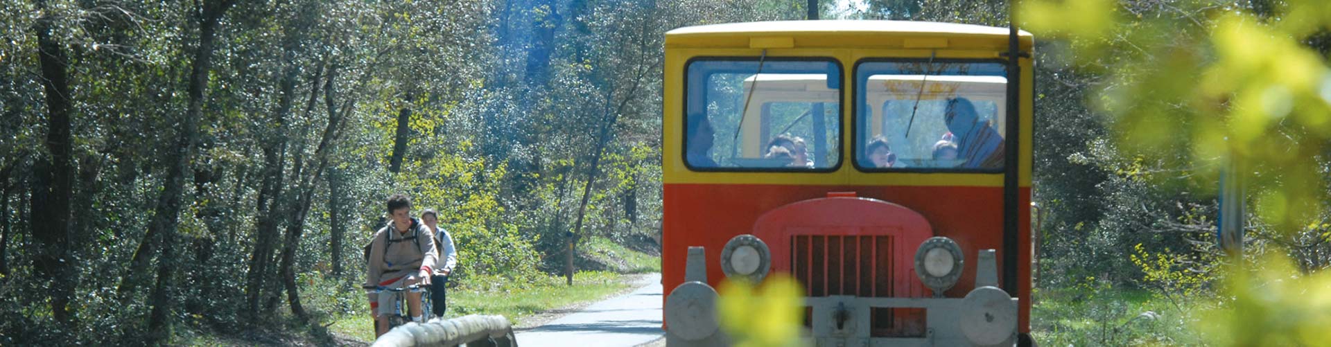 Petit train touristique