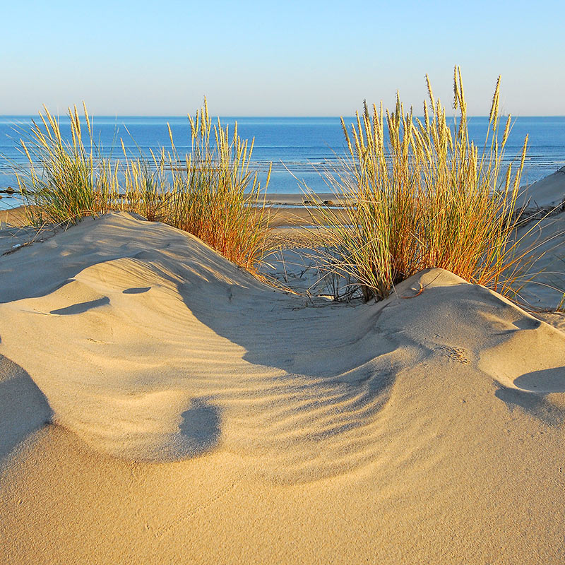 photo-plage-soulac