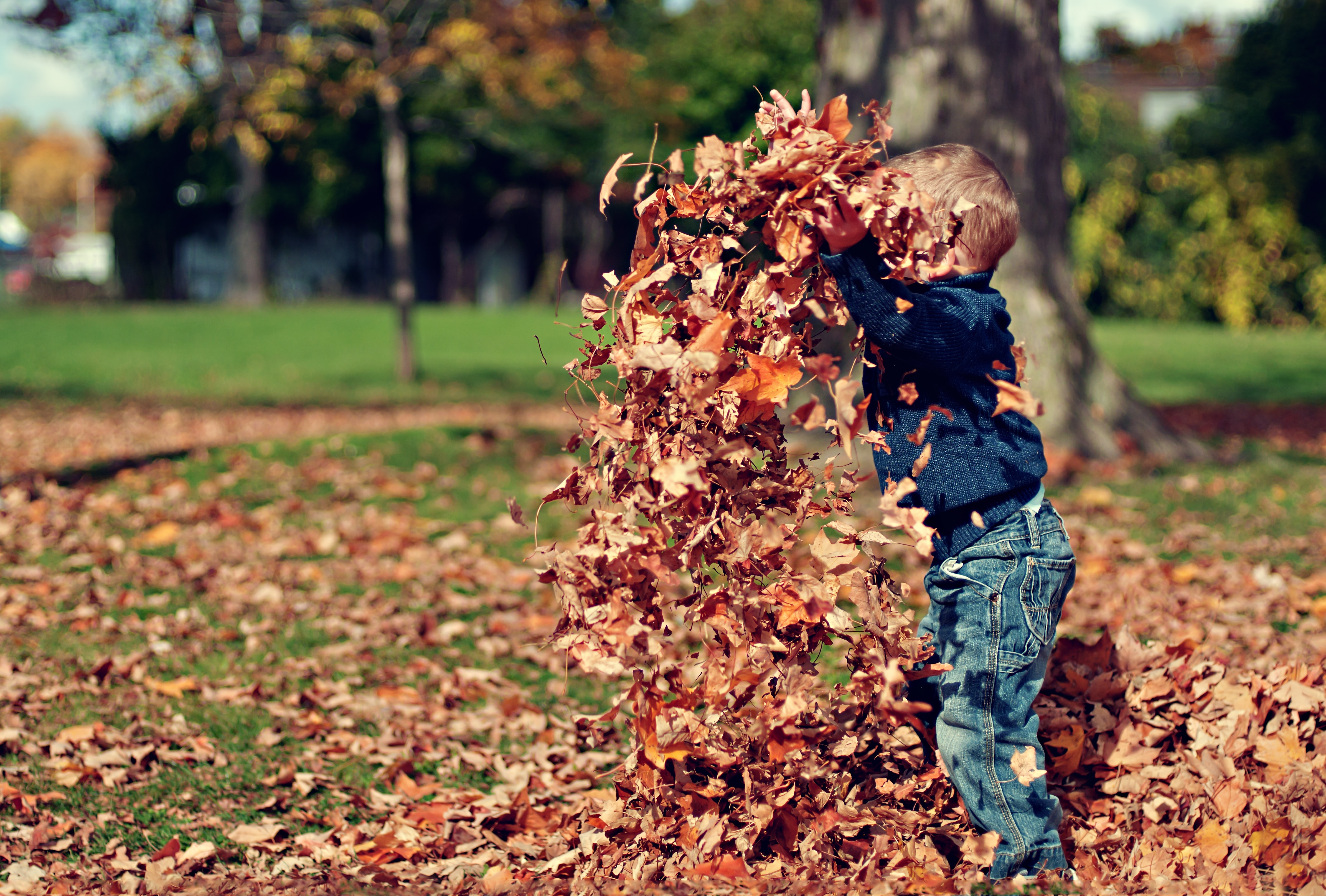 les animations des vacances scolaires
