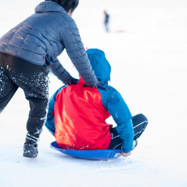 luge