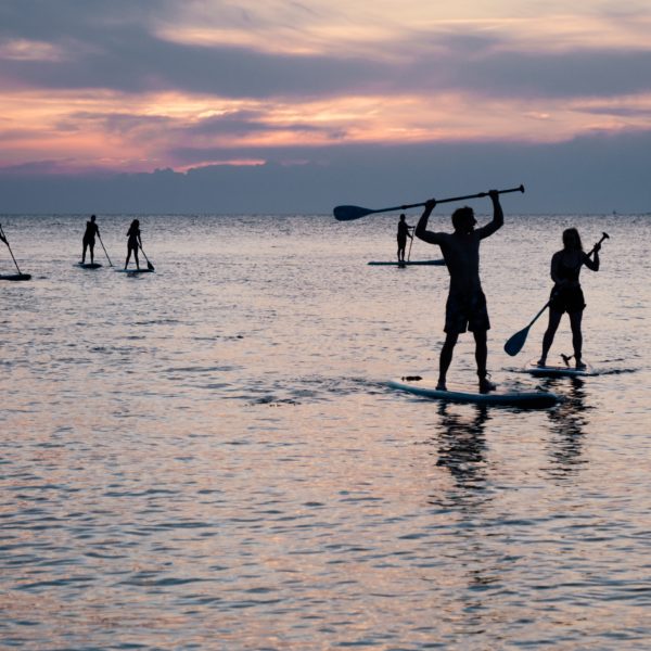 paddle