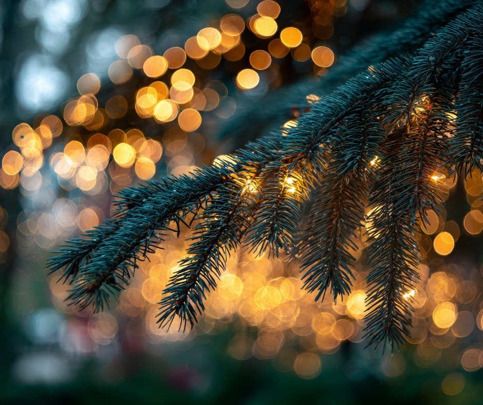 Programme des animations du mois de décembre