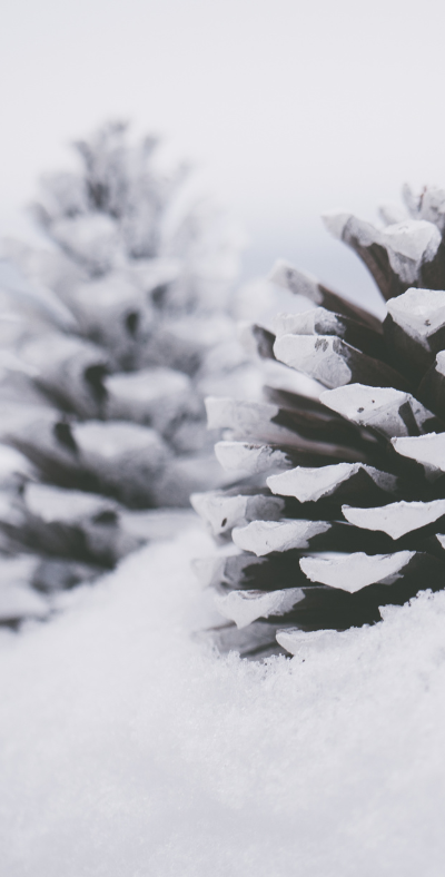 Programme des animations du mois de février