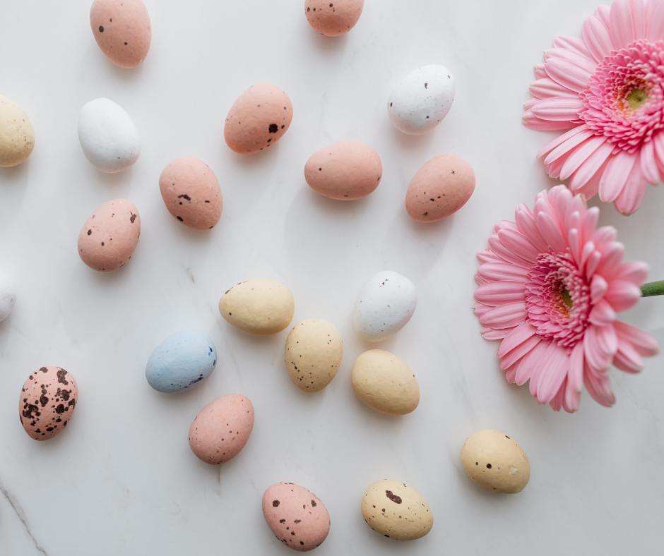 Programme des animations du mois d&rsquo;avril