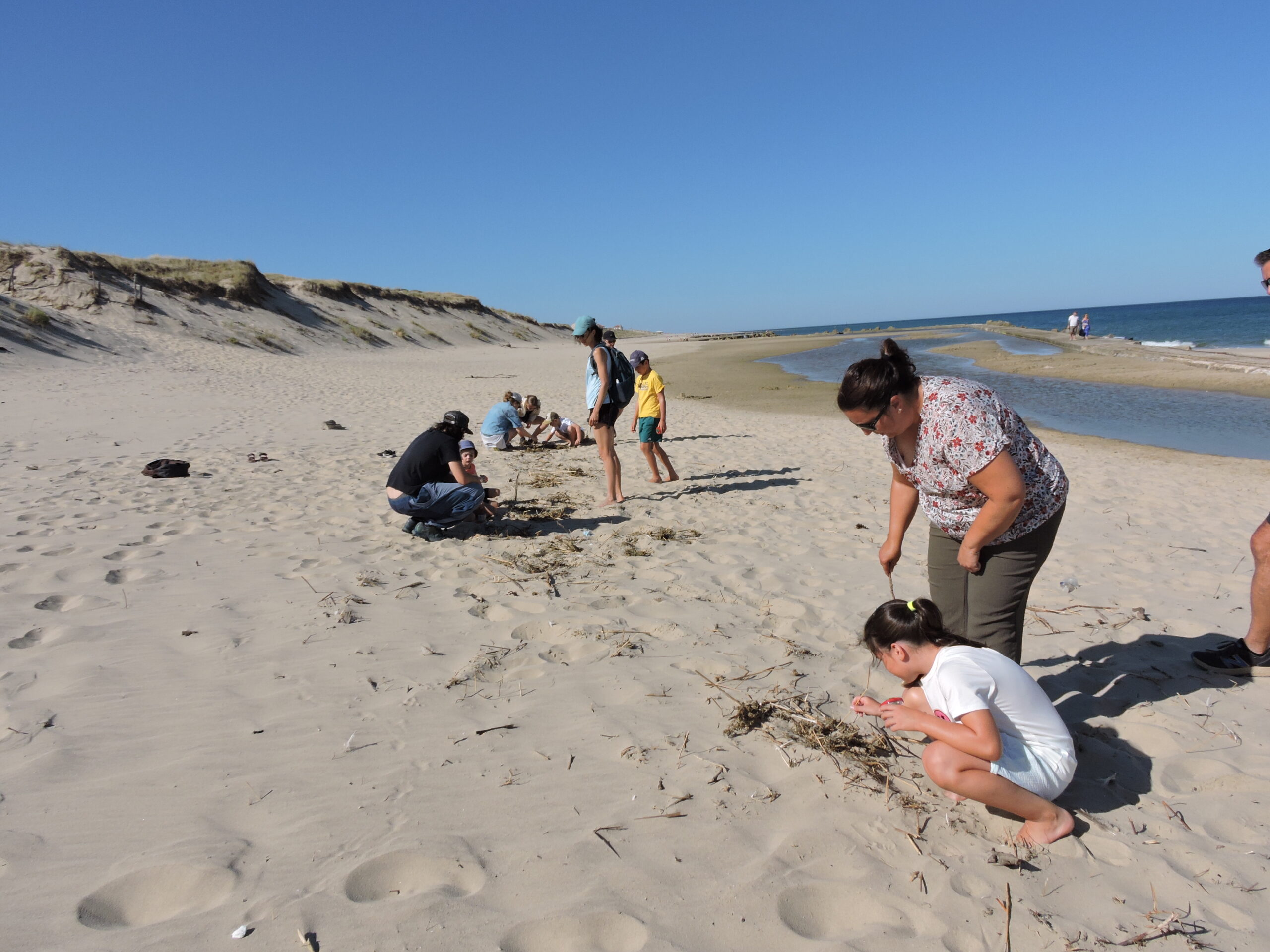 Programme des animations du mois d&rsquo;octobre